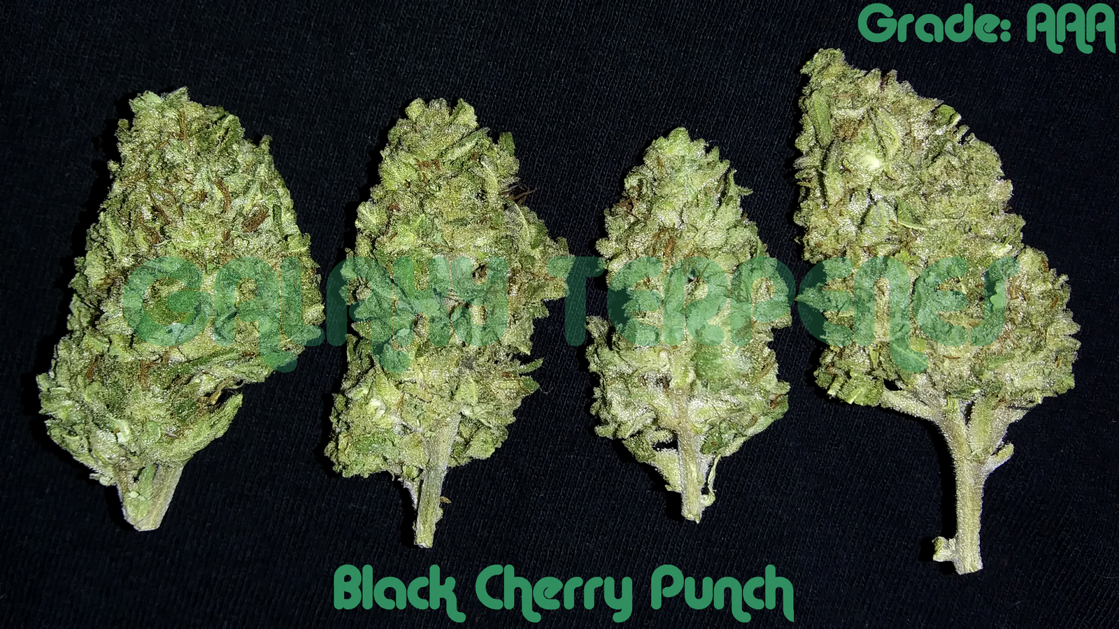 A3: BLACK CHERRY PUNCH - Image 2