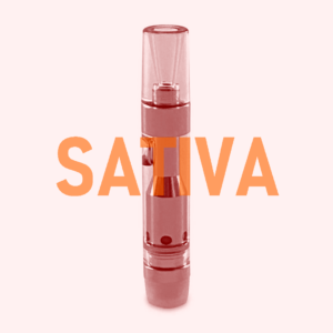 Sativa