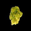 Garlic Cookies