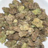 A5: GMO GARLIC COOKIES 🍪 - Image 3