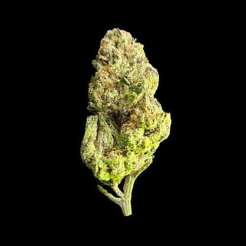 Jelly Rancher, a Sativa-dominant strain (70% Sativa/30% Indica), is created by crossing Notorious THC X Very Cherry strains.