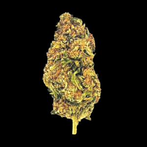 Guava Gas, April 2026