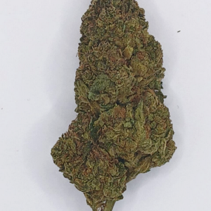 Bubble Gum