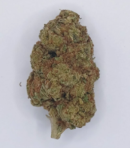 A3: PURPLE RUNTZ